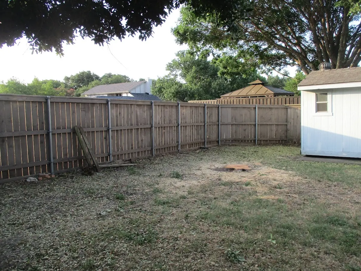 Cleared yard after professional tree removal in Gruetli Laager